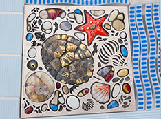 морские черепахи ракушки звезды
